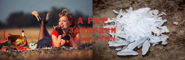 гидра Аркадак