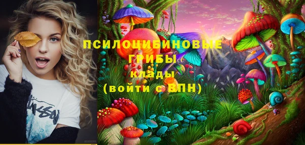 стафф Баксан