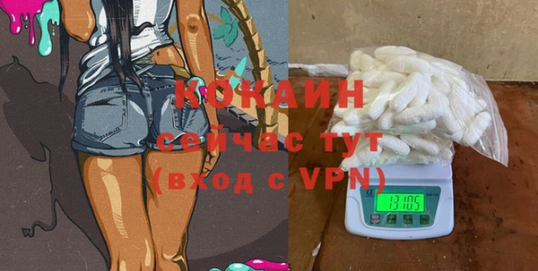 шишки Армянск