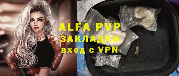 шишки Армянск
