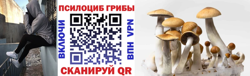 blacksprut ссылки цены наркотик Опочка Галлюциногенные грибы прущие грибы